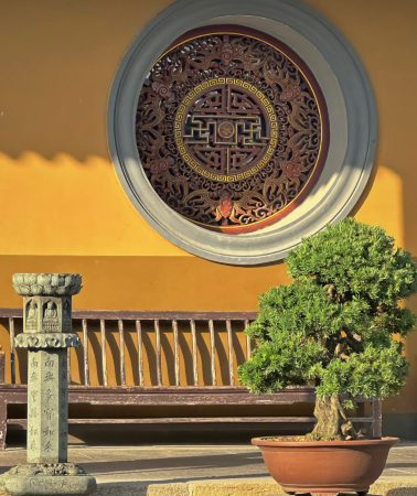 2D1N • 2-Day 1-Night Group Tour to Putuo Mountain Scenic Area, Zhejiang