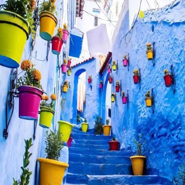 摩洛哥撒哈拉沙漠+卡萨布兰卡-塞塔特大区+马拉喀什-萨菲大区+舍夫沙万12日跟团游