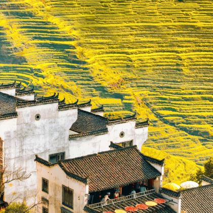 江西南昌+庐山风景名胜区+景德镇+婺源+三清山风景区5日4晚跟团游