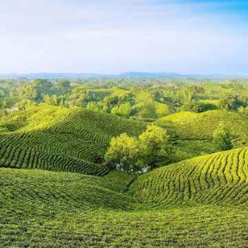 信阳南湾湖风景区+鸡公山景区+郝堂村+许世友将军故里3日2晚私家团