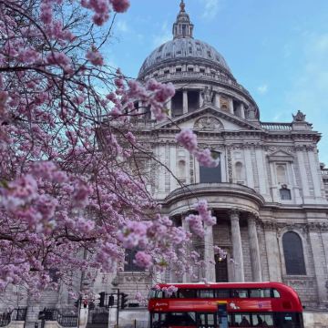 英格兰+苏格兰+北爱尔兰+爱尔兰11日私家团