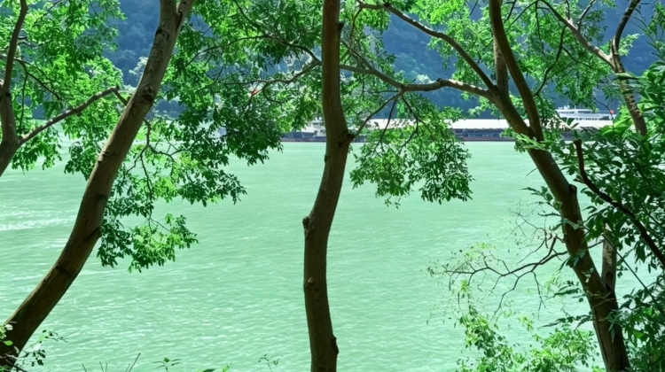 宜昌+4