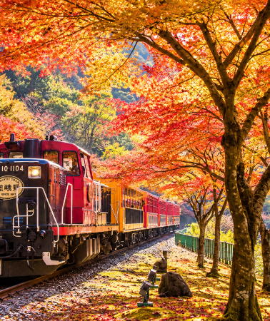 7D6N • Osaka + Wakayama City + Kyoto + Nara City + Kobe + Momijidani Garden + Kofuku-ji Kokuhokan (National Treasure Hall) + Isuien Garden and Neiraku Museum + Yoshikien Garden + Arashiyama Sagano Romantic Train + Eikando Temple