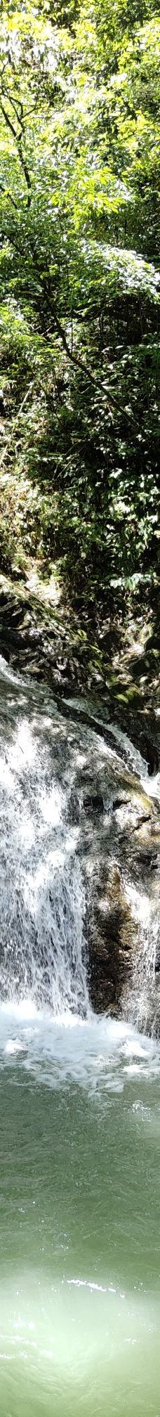 黑山谷风景区-重庆