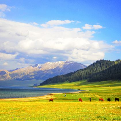 新疆乌鲁木齐+北疆+南疆30日29晚私家团