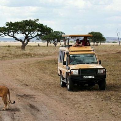 肯尼亚+坦桑尼亚12日11晚拼小团