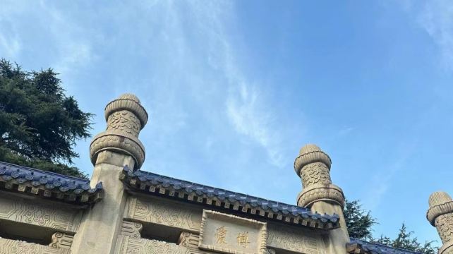 南京+7