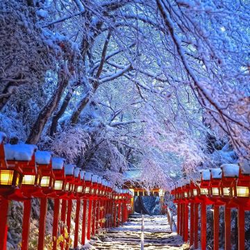 日本名古屋+白川乡+飞驒高山+金泽+富山6日5晚私家团