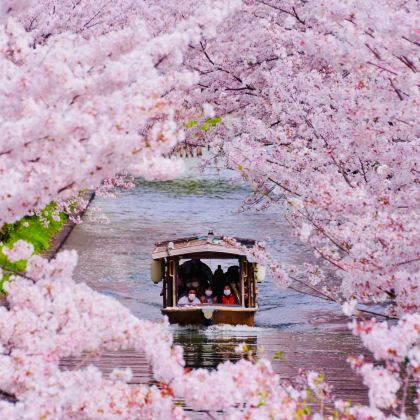 徒步·日本大阪+伊势市+白滨町+熊野古道6日5晚私家团