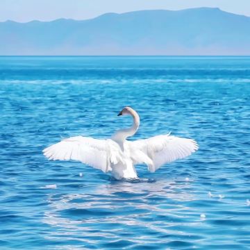 新疆伊犁+那拉提旅游风景区+赛里木湖3日2晚拼小团