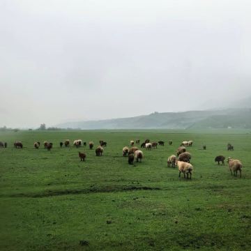 新疆乌鲁木齐9日8晚私家团