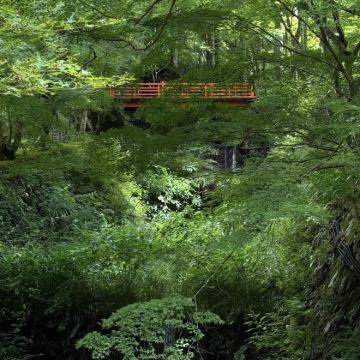 日本大阪+京都+奈良2日1晚跟团游