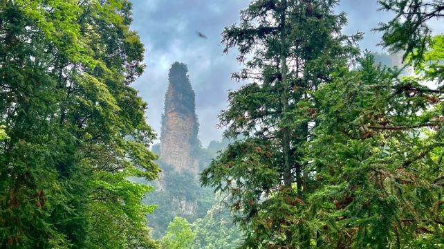 3-Day Private Zhangjiajie Tour·Zhangjiajie National Forest Park | Golden Whip Stream | Great Canyon