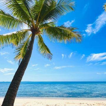 斐济8日5晚自由行