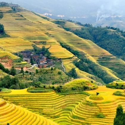 桂林+漓江+阳朔+龙脊梯田5日4晚跟团游