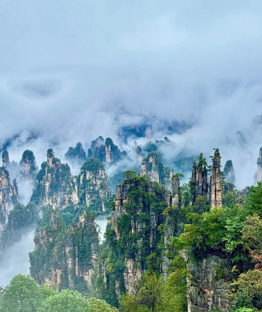 5D4N • Zhangjiajie National Forest Park, Tianmen Mountain,  Glass Bridge, Phoenix Ancient City,  Zhangjiajie High speed Railway 1H to Fenghuang Ancient City