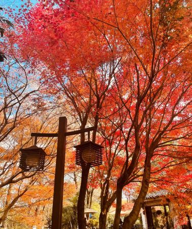5日4晚 • 杭州＋西湖風景名勝區＋桐廬＋瑤琳仙境＋西溪國家濕地公園＋OMG心跳樂園＋垂雲通天河