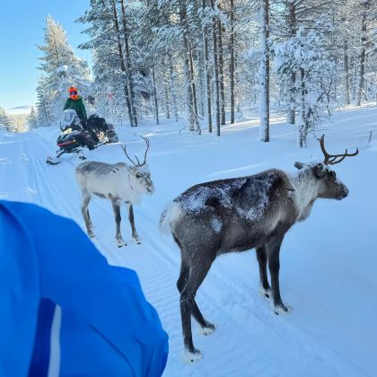 芬兰+挪威+冰岛13日12晚私家团