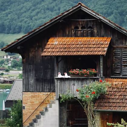 瑞士+意大利8日6晚私家团