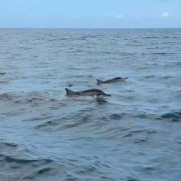 毛里求斯8日7晚私家团