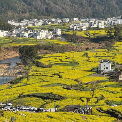 武夷山《印象大红袍》演出+婺源篁岭景区+江岭赏油菜花海+九曲溪竹筏漂流6日5晚私家团