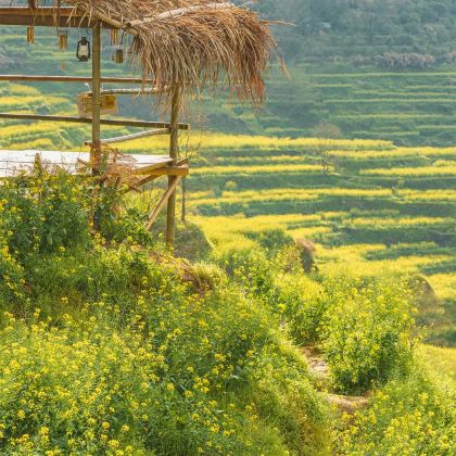 江西南昌+庐山风景名胜区+婺源+望仙谷+景德镇+三清山风景区6日5晚自由行