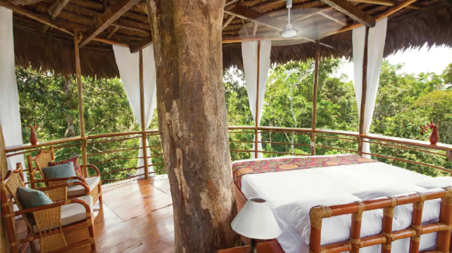 <3天>【16人英文团 · 亚马逊雨林深度玩家首选 | Treehouse Lodge全包式独立树屋】·18项雨林探险任选（观鸟日出+划船巡游+夜巡寻鳄等）+1天亚马逊核心区域深度探索