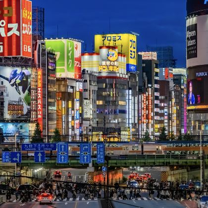日本东京+横滨+伊豆市8日7晚自由行
