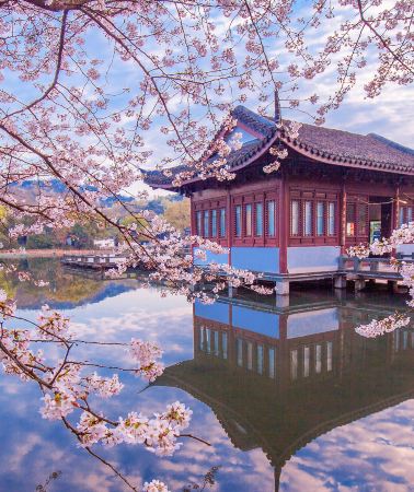 6D5N • Click to customize your itinerary, Shanghai, Suzhou and Hangzhou - Muslim-Friendly with Halal Meals