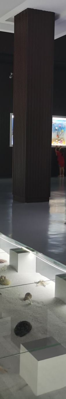 贝壳王国-秦皇岛