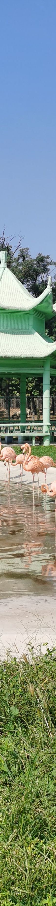 秦皇岛野生动物园-秦皇岛