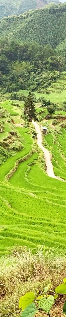 欧家梯田-连山