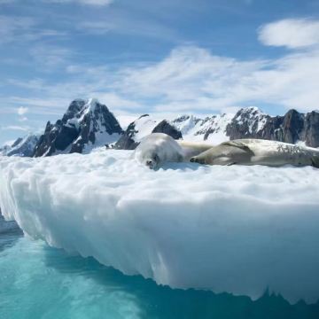 阿根廷+南极洲南极半岛+南设得兰群岛+中国南极长城站+智利18日跟团游