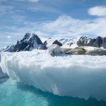 阿根廷+南极洲南极半岛+南设得兰群岛+中国南极长城站+智利18日跟团游