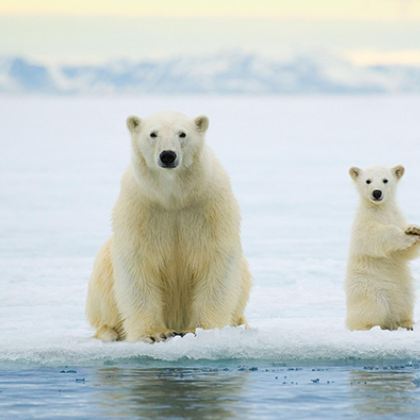 斯瓦尔巴+丹麦11日9晚跟团游