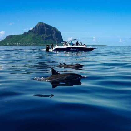 塞舌尔+留尼汪（法属）+毛里求斯+马达加斯加16日15晚拼小团