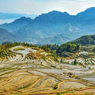 丽水5日4晚私家团