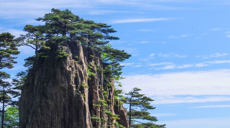 7-Day Shanghai and Anhui Private Tour·Former French Concession, Yi County, Hongcun, Nanping, Huangshan Scenic Area