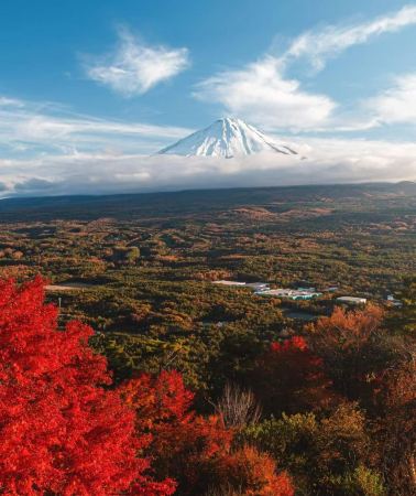 10D9N • Japan - Osaka - Kyoto - Nara - Tokyo - Mount Fuji - 10-day 9-night small group tour