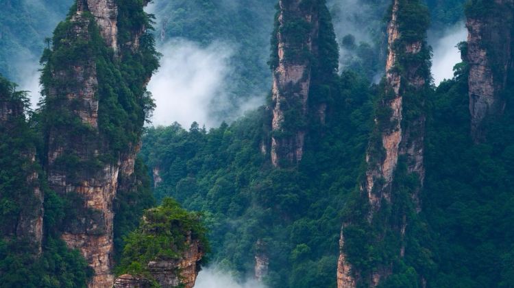 3D2N · Private Tours · Visit Zhangjiajie National Forest Park, Grand Canyon Glass Bridge and Tianmen Mountain, including two nights of 4-diamond accommodation.