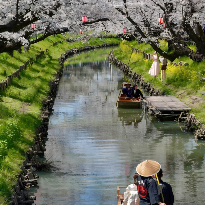 日本大阪+京都+奈良市6日5晚跟团游