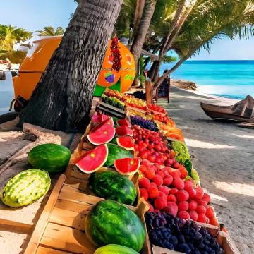 毛里求斯+留尼汪（法属）+塞舌尔13日12晚私家团