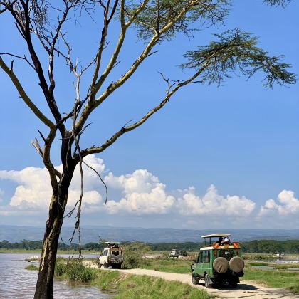 肯尼亚8日7晚跟团游