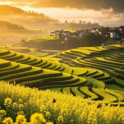 昆明+罗平+普者黑景区+弥勒+碧色寨风景区+元阳+建水+抚仙湖+东川红土地+广南9日8晚拼小团