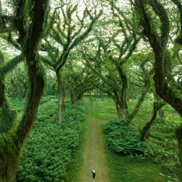 印度尼西亚8日7晚私家团