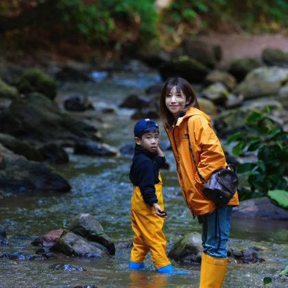 西双版纳+野象谷+基诺山雨林徒步5日4晚拼小团