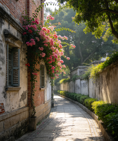 5D4N • Xiamen + Kulangsu + Fujian Tulou  Nanjing Scenic Area + Quanzhou