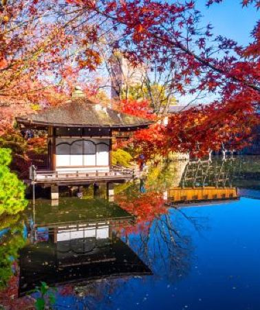 5日4晚 • 大阪、京都、奈良、和歌山 美景玩樂5天之旅【尊享香港航空貴賓室】賞紅葉名所(京都「世界文化遺產」金閣寺、「日本百大名城」和歌山城、紅葉溪庭園、「世界文化遺產」奈良東大寺、神鹿公園)