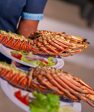 2D1N • Capt Cook Cruises Super Saver Combo: Day Sail + Dinner Cruise