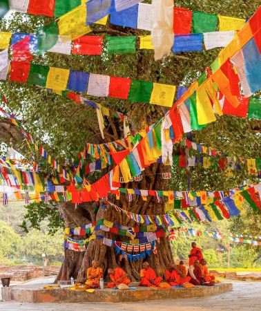 14D13N • From Delhi: 14-Day Round-trip Buddhist Trail w/ Nepal Entry